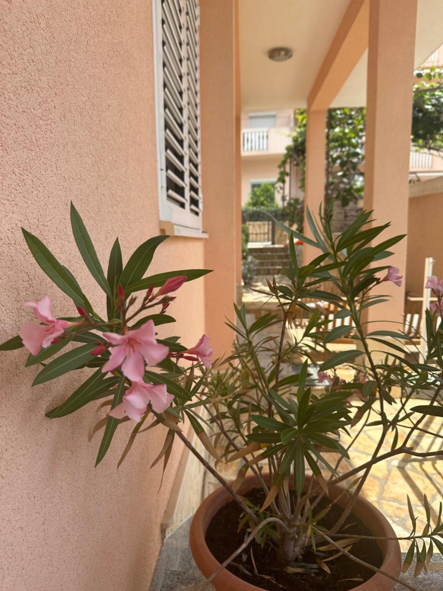 Apartments Zlatka تروغير المظهر الخارجي الصورة